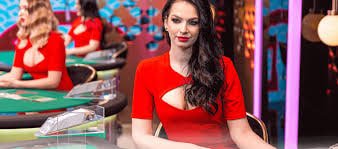 bdtk37